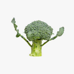 Broccoli